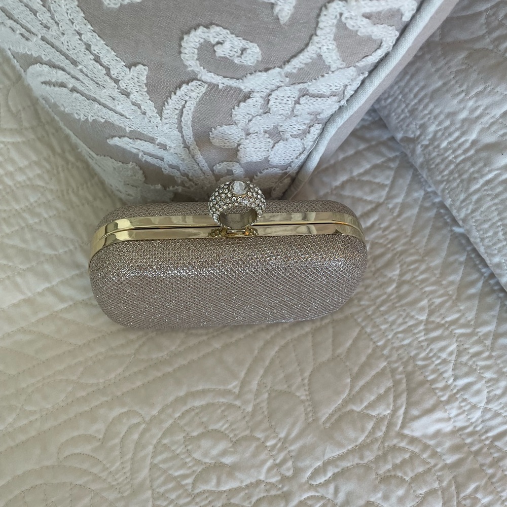 Evening Clutch Purse